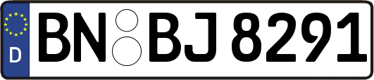 BN-BJ8291