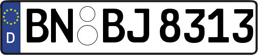 BN-BJ8313