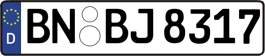 BN-BJ8317