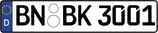 BN-BK3001