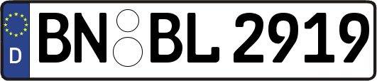 BN-BL2919