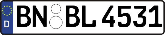 BN-BL4531