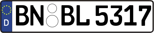 BN-BL5317