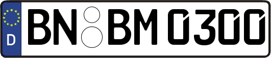 BN-BM0300