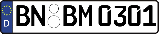 BN-BM0301