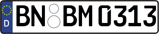 BN-BM0313