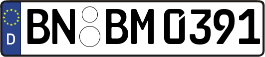 BN-BM0391