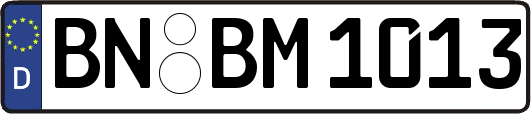 BN-BM1013