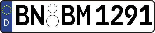 BN-BM1291