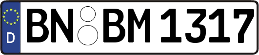 BN-BM1317