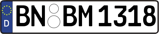 BN-BM1318