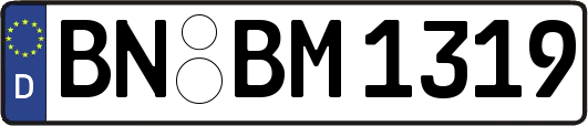 BN-BM1319