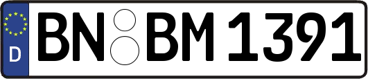BN-BM1391
