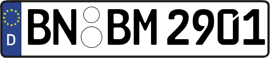 BN-BM2901