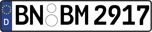 BN-BM2917