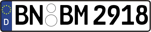 BN-BM2918