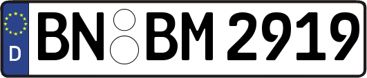 BN-BM2919