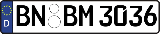 BN-BM3036