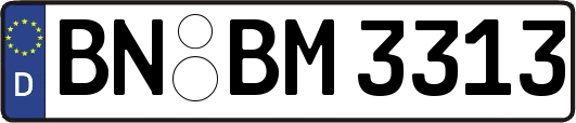 BN-BM3313