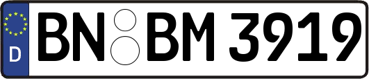BN-BM3919