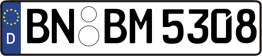 BN-BM5308