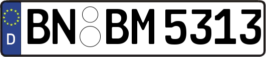 BN-BM5313