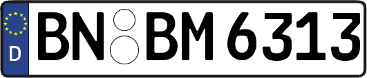 BN-BM6313