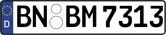 BN-BM7313