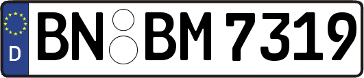 BN-BM7319
