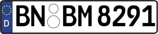 BN-BM8291