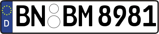 BN-BM8981