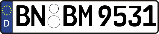 BN-BM9531