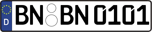 BN-BN0101