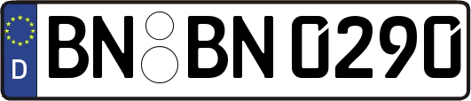 BN-BN0290