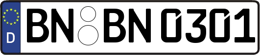BN-BN0301