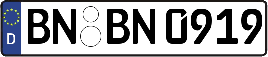 BN-BN0919