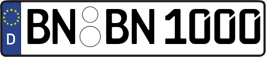 BN-BN1000