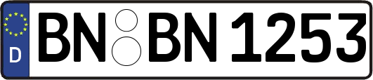BN-BN1253