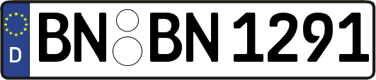 BN-BN1291