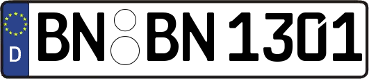 BN-BN1301