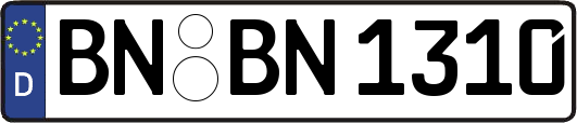 BN-BN1310