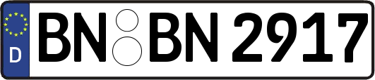 BN-BN2917