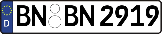 BN-BN2919