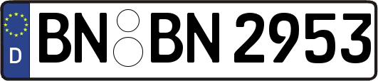 BN-BN2953