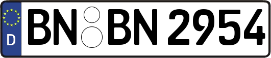 BN-BN2954