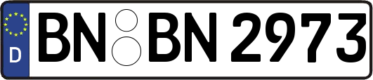 BN-BN2973
