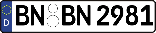 BN-BN2981