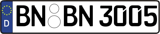 BN-BN3005