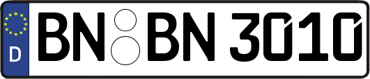 BN-BN3010