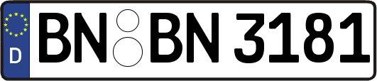 BN-BN3181